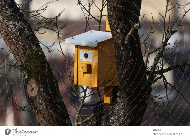 Ein hölzernes Vogelhaus hängt an einem Baum Tier Schönheit Futterhäuschen Kasten Ast hell Kabine Pflege farbenfroh Konstruktion Handwerk niedlich Tür Wald