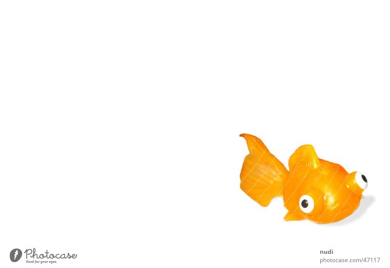 Blubber Spielzeug Tier Goldfisch Fisch orange Statue Auge Schwimmhilfe Schatten Wasser fish plastic eyes animal water Blubbern