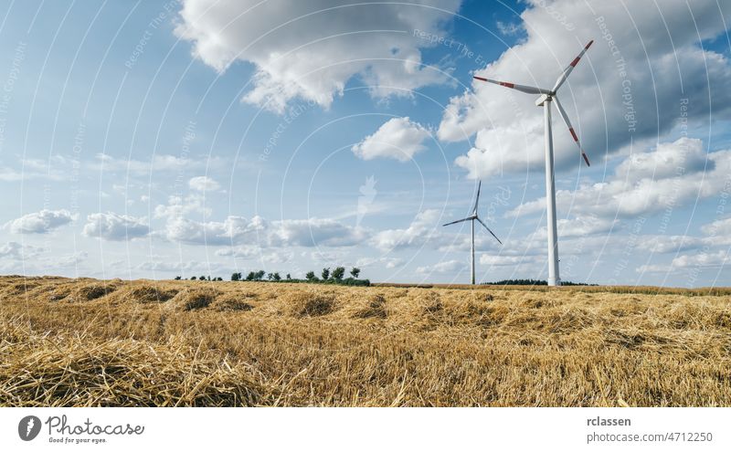 Windkraftanlagen in einer Agrarlandschaft Windmühle Erneuerbare Energie Elektrizität Kraftwerk Natur Ökostrom Ökologie Windpark Technik & Technologie Industrie