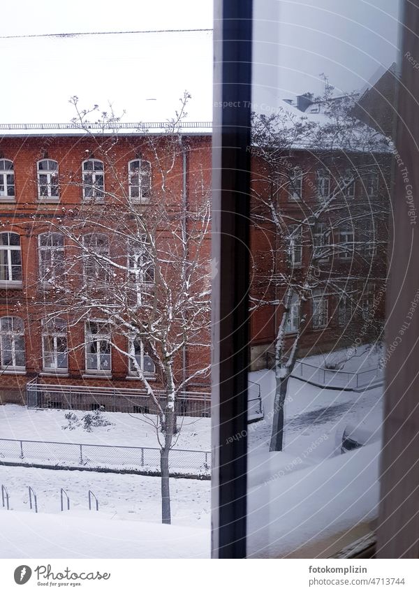 Haus im Schnee spiegelt sich im Fenster Baum Backstein Spiegelung Architektur Gebäude Reflexion & Spiegelung Winter Schulhaus verschneit Altbau kalt winterlich