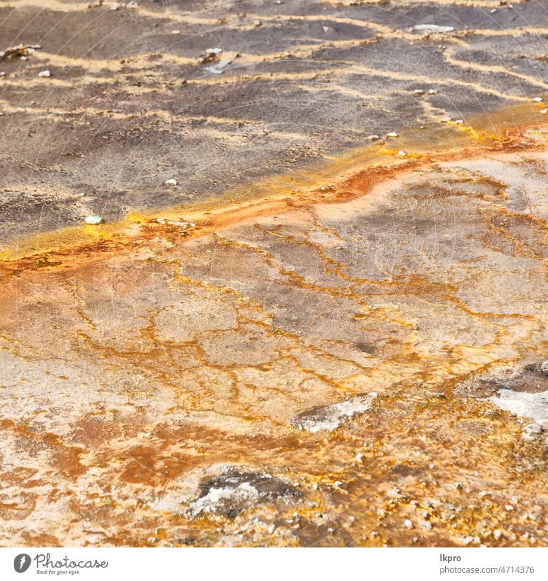 in äthiopien afrika der vulkanische see nahaufnahme See Dallol Danakil Äthiopien einzigartig in der Ferne Depression Salz Krater Bier erta heiß Nahaufnahme