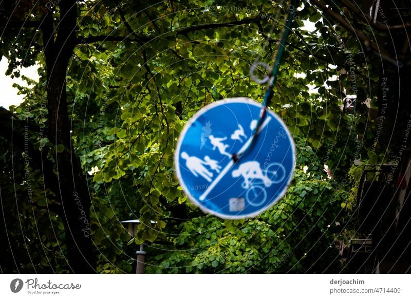 Berliner Schilderwald in den Bäumen mit ganz vielen grünen Blättern. Erlaubt für Mütter  und Kinder, Roller und Hund, sowie Fahrrad. schild Sommer Grün Himmel