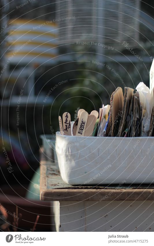 Pflanztisch mit getöpferter Saatgutschale im Frühlingslicht Planzen Gärtner Gewächshaus Tisch Schalen & Schüsseln Lampenschirm Solar planen selbstversorger