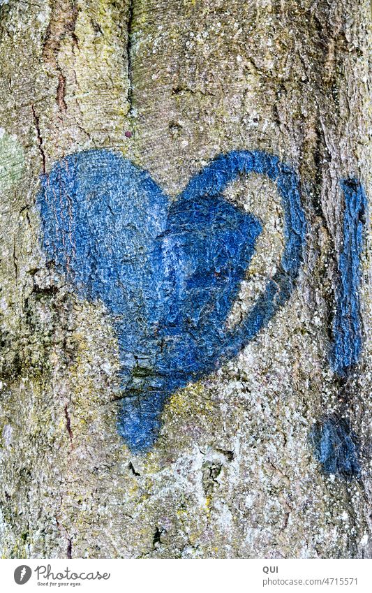 Das blaue "Herz!"  ... Baumrinde Baumstamm Buche Natur Stamm Holz Symbol Liebe Zeichen Ausrufezeichen Graffiti Gefühle Verliebtheit Liebeserklärung