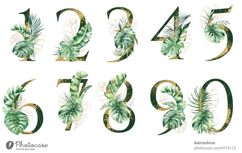 Goldene Zahlen verziert mit grünen und goldenen tropischen Blättern Aquarell isolierte Illustration botanisch Charakter Zeichnung Element exotisch