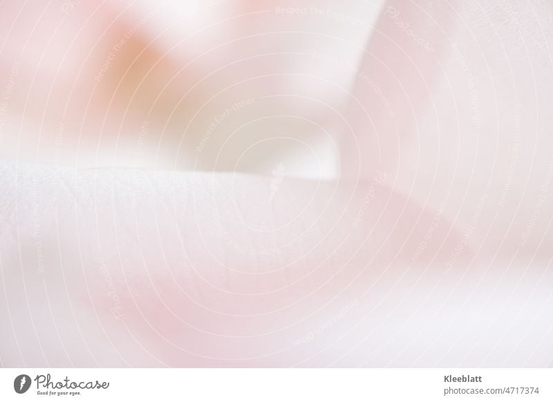 Nahaufnahme einer Rosenblüte mit Filter bearbeitet - Unschärfe künstlerisch Kunst stark bearbeitet rosa Töne Struktur Hintergrundbild Wellen Kontrast abstrakt