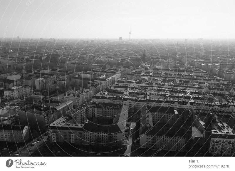Blick über Berlin Pankow mit Fernsehturm Berliner Fernsehturm Architektur Turm Himmel Wahrzeichen Hauptstadt Berlin-Mitte Außenaufnahme Deutschland Großstadt