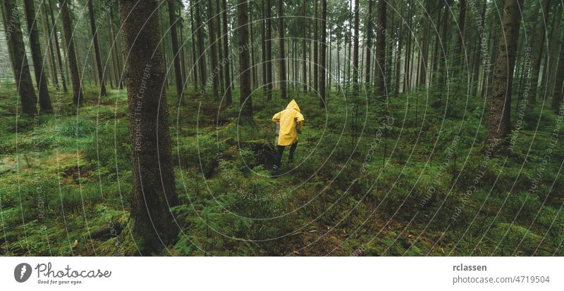 Mann mit gelber Regenjacke läuft in den dunklen Kiefernwald Herbst Regenmantel böse märchenhaft Angst Wanderung wandern einsam Stimmung Weg Reisender Tierwelt