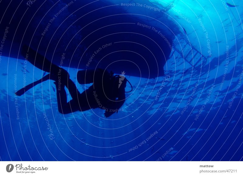 Lichtspiel in blauem Wasser 2 Meer Taucher tauchen Wasserfahrzeug Wellen Leiter diving underwater Unterwasseraufnahme