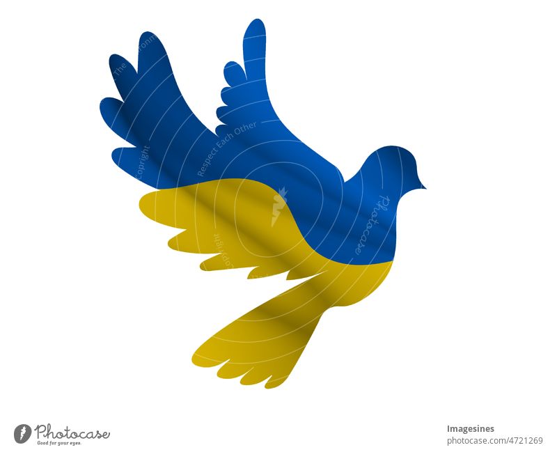 Silhouette einer Taube in den Farben der ukrainischen Flagge. Kampf für den  Frieden. Illustration - ein lizenzfreies Stock Foto von Photocase