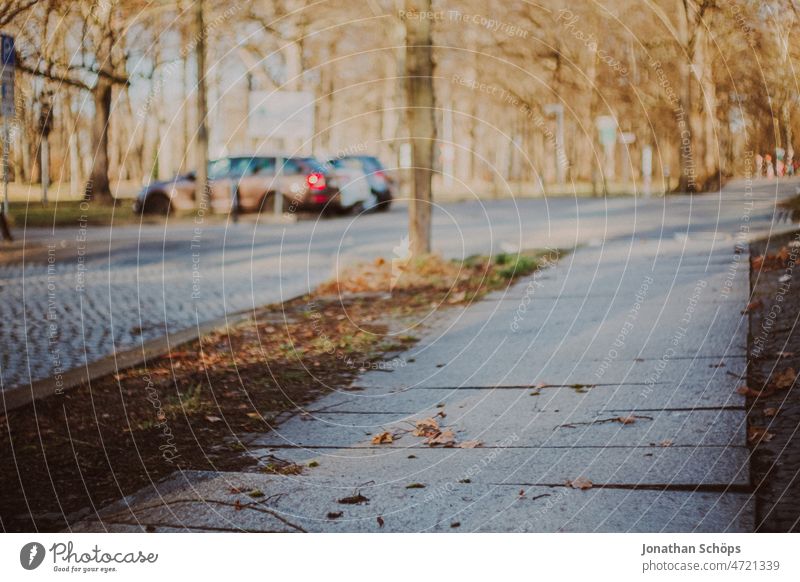 Fußweg mit Bodenplatten im Winter Herbst vintage film retro analog Straßenrand Asphalt grau leer urban Straßenbelag Waldrand Kopfsteinpflaster Flickenteppich