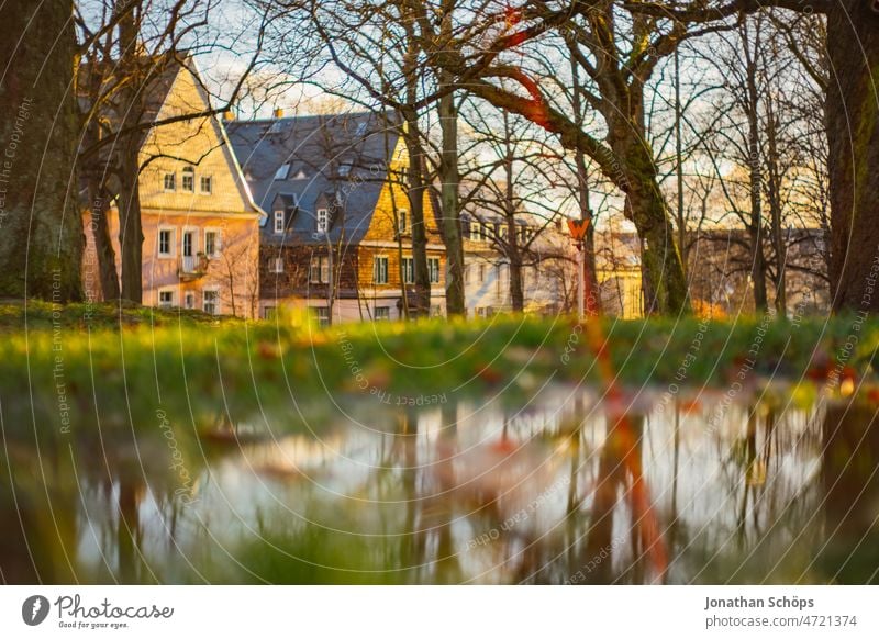Häuser am Waldrand hinter Pfütze auf Wiese mit Spiegelung der Bäume im Sonnenlicht Einfamilienhaus Eigenheim Überschwemmung Reflexion & Spiegelung park retro