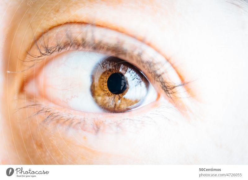 Unser Sinnesorgan Auge Pupille braun Nahaufnahme Makroaufnahme Wimpern Regenbogenhaut Mensch Detailaufnahme Frau Augenbraue Sehvermögen Sinnesorgane