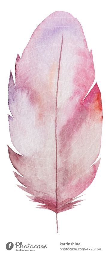 Aquarell rosa Feder, böhmische Element Illustration isoliert Dekoration & Verzierung exotisch handgezeichnet vereinzelt Sommer Vogel Bohemien Boho hochzeitlich