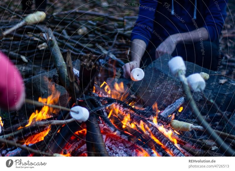Lagerfeuer mit Marshmallows Feuer Abenteuer Outdoor Gruppe Zeltlager Pfadfinder Feuerstelle brennen heiß Flamme Farbfoto Holz Natur Lagerfeuerstimmung Camping