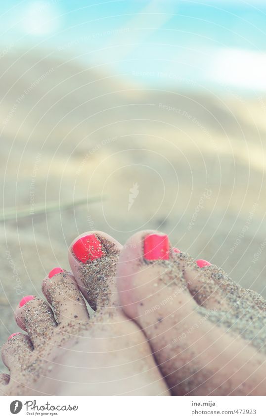 Sand an den Füßen I Pediküre Erholung ruhig Meditation Schwimmen & Baden Mensch feminin Junge Frau Jugendliche Erwachsene Fuß 18-30 Jahre Wasser Strand