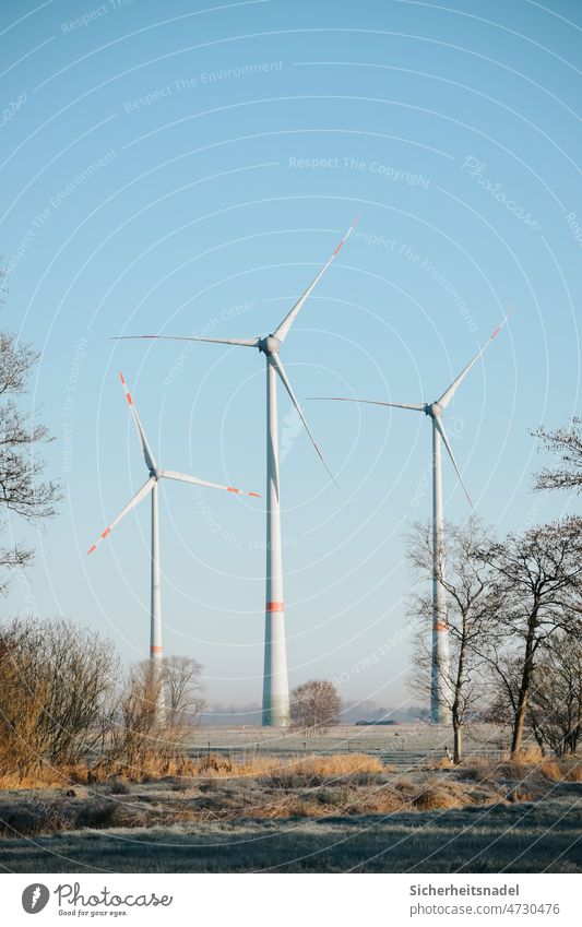 Windräder am Morgen Windrad windräder Windkraftanlage Energie Windenergie Rotor Technik & Technologie Energiewirtschaft