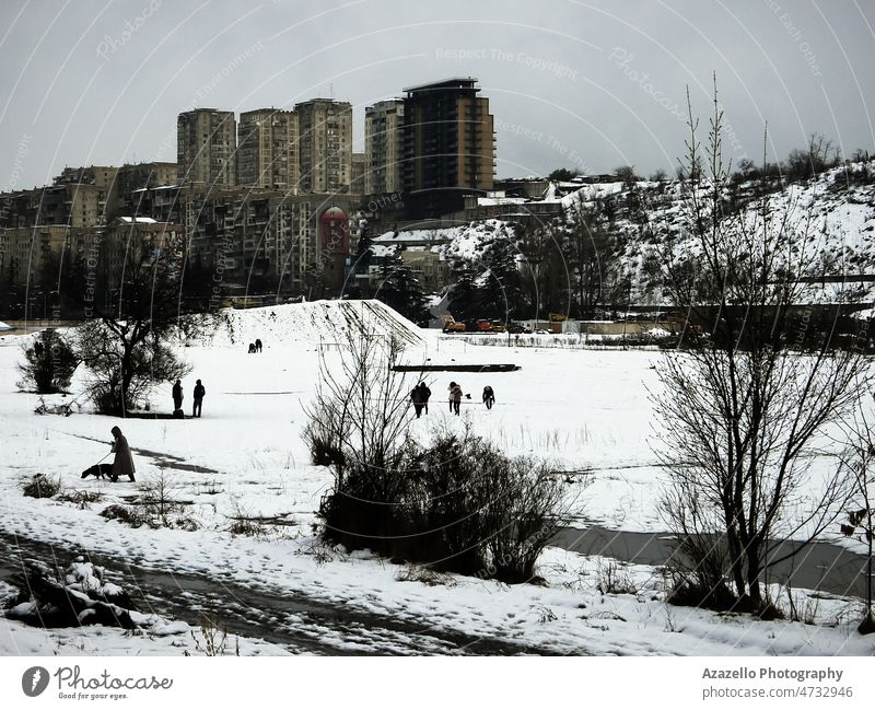 Winterlandschaft mit Spaziergängern im Schnee. abstrakt Architektur Kunst Atmosphäre schwarz Gebäude Buchse Stadtbild kalt Kreativität Revier Hund