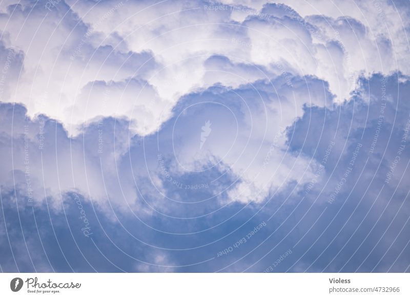 Himmel - luftige Höhen II Wolken Atmosphäre Cirrus Cirrocumulus Cirrostratus blau Cumulus