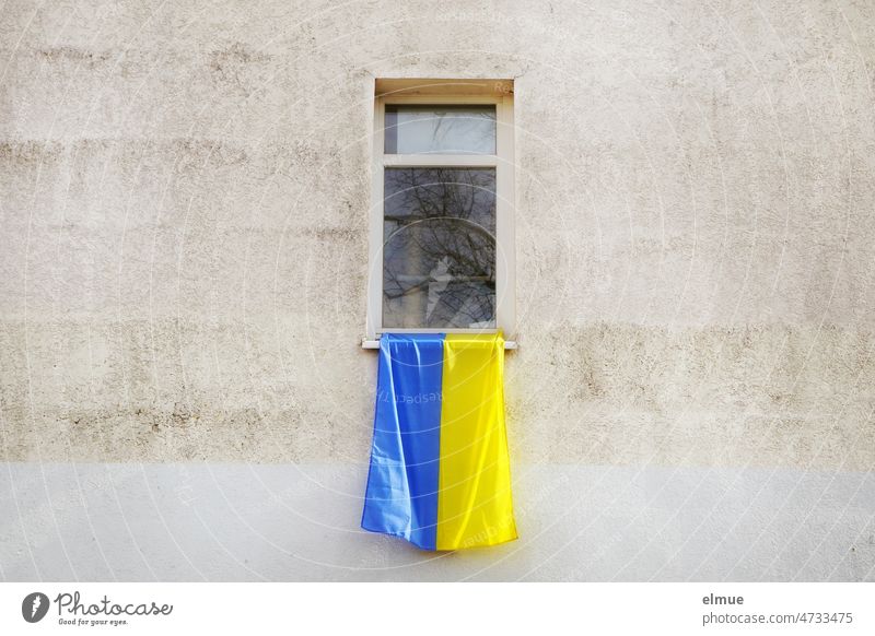 Nationalflagge der Ukraine an einem Hausfenster / Solidarität / Ukrainekrieg Flagge Ukraineflagge Ukrainefahne Krieg Politik & Staat Nationalität Unabhängigkeit