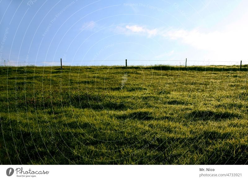 aufm Deich Wiese Weide Landwirtschaft landwirtschaftlich Idylle Landleben ländlich Gras Himmel Zaun Grün Sommer Weidezaun Natur Umwelt natürlich Elektrozaun