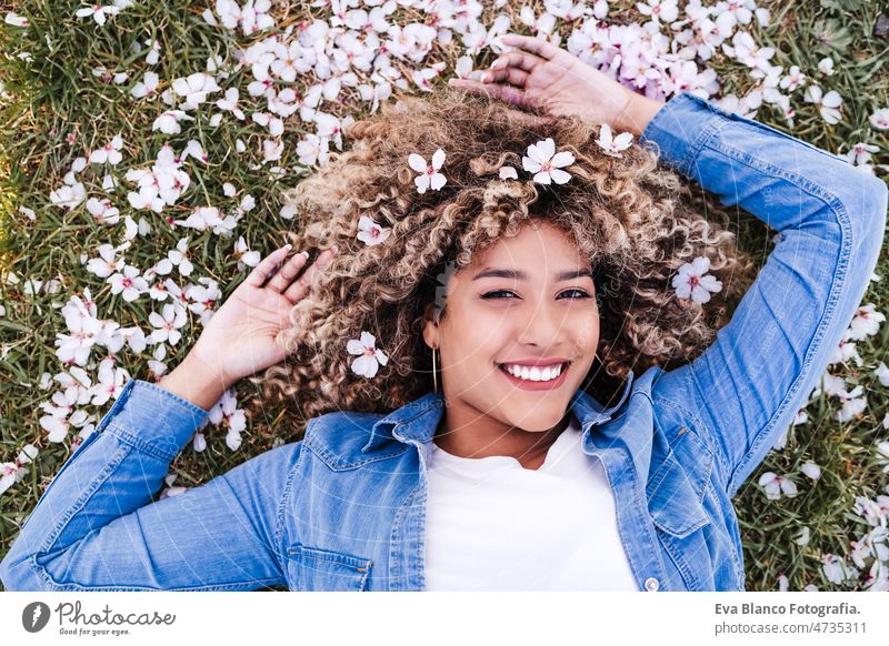 Porträt einer glücklichen hispanischen Frau mit Afro-Haar, die im Gras zwischen rosa Blütenblättern liegt.Frühling Afro-Look Blumen abschließen Mandelbaum