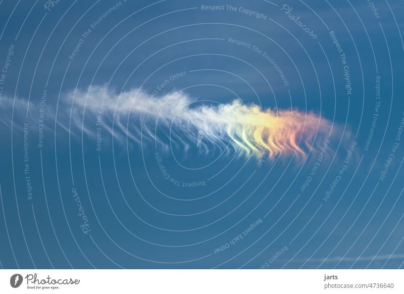 Kondenssteifen mit Regenbogenfarben Himmel Kondensstreifen Wolke Flugzeug Luftverkehr blau Wolken fliegen Freiheit Außenaufnahme Schönes Wetter Fernweh Umwelt