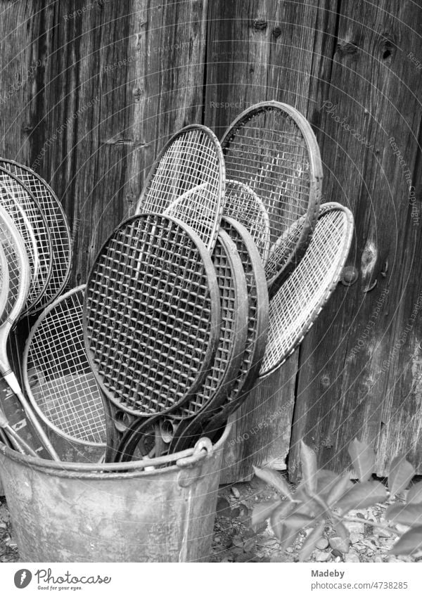 Schläger aus Holz und Kunststoff für Badminton und Federball in einem alten Blecheimer vor einer Scheune auf einem Bauernhof in Rudersau bei Rottenbuch im Kreis Weilheim-Schongau in Oberbayern, fotografiert in klassischem Schwarzweiß
