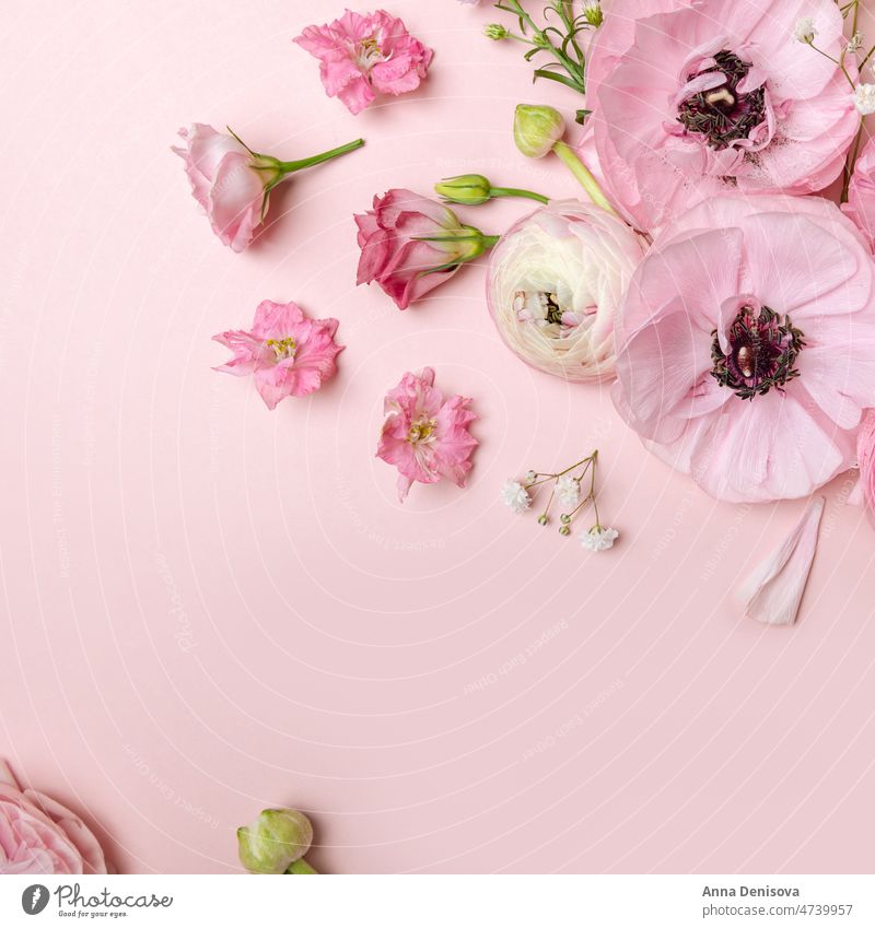Blumenarrangements aus zarten Ranunkelblüten Ranunculus Blumenstrauß trendy Haufen Blütezeit Tapete Postkarte flache Verlegung Strauß Ranunkeln Hintergrund