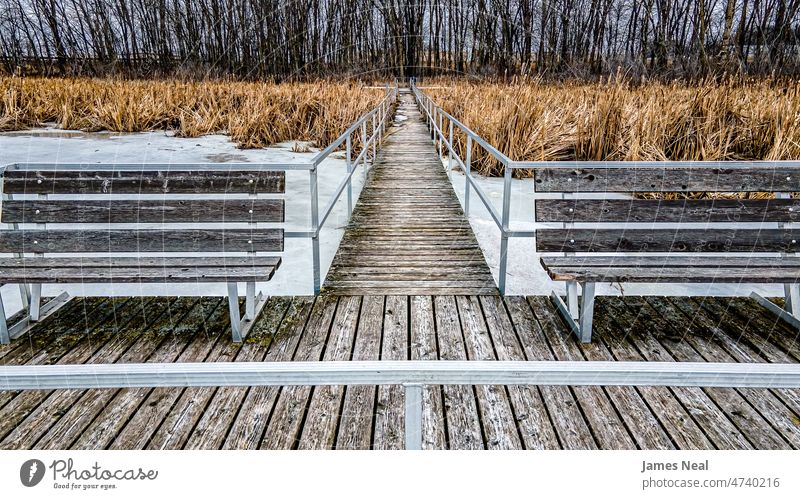 Der Blick von dieser Brücke zeigt Anzeichen des Frühlings Herbst Farbe friedlich Natur Wasser Ökologie Wiese See Hintergrund Schnee Bäume Dock Baum malerisch