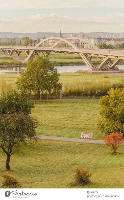 Waldschlößchenbrücke in Dresden in Herbst Elbufer Außenaufnahme Verkehr Verkehrsmittel Auto Sachsen Straße Brücke Straßenverkehr Verkehrswege Bewegung Mobilität