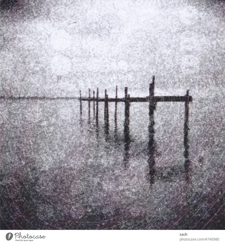 Schwarzes Meer analog Analogfoto analoge fotografie Holga Scan Lomografie Experiment Schwarzweißfoto schwarzweiß Steg Wasser Ostsee Horizont Doppelbelichtung
