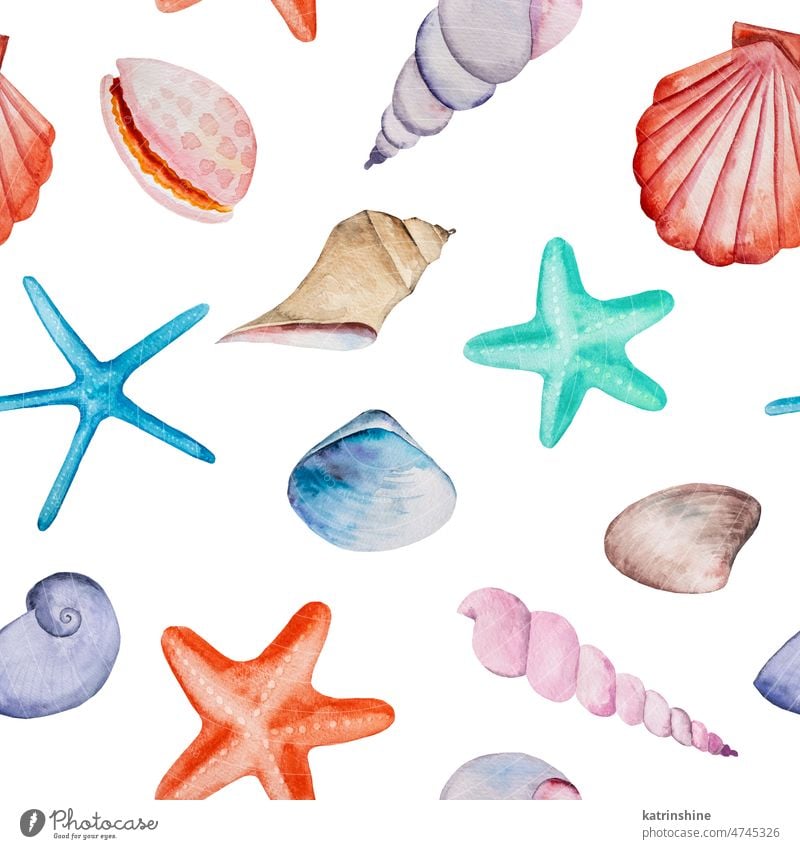 Aquarell nahtlose Muster mit Muscheln und Seesterne Illustration Dekoration & Verzierung Zeichnung Element exotisch handgezeichnet Feiertag vereinzelt Natur