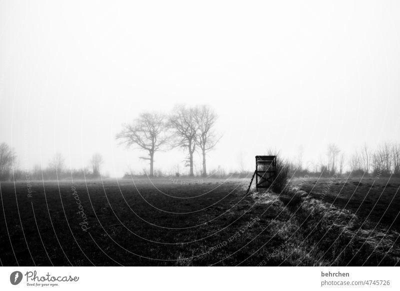 schwarzweiß melancholisch melancholie Einsam Einsamkeit mystisch geheimnisvoll Nebel Baum Landwirtschaft Acker Menschenleer stille Wetter Jahreszeiten Kälte