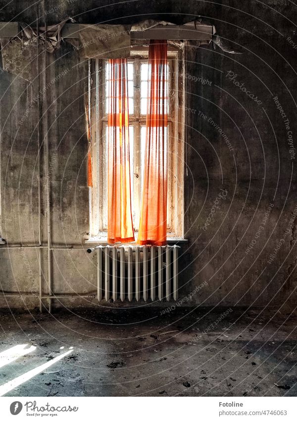 In einem runtergekommenen alten Lost Place hängen orangene Vorhänge vor dem Fenster über der Heizung. Sie heben sich wunderbar vor dem ganzen Grau ab.
