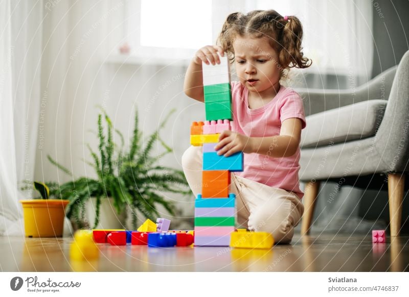 Ein kleines Mädchen sitzt im Spielzimmer auf dem Boden und spielt mit bunten Würfeln, einem Konstrukteur. wenig Kind farbenfroh Stock Sitzen Spielen Bauherr