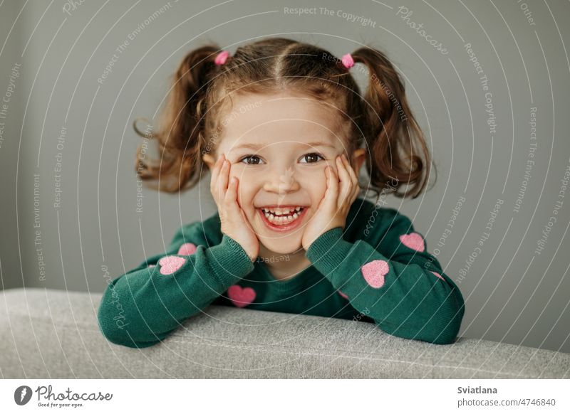 Porträt eines charmanten kleinen Mädchens mit zwei Pferdeschwänzen, fröhlich und lächelnd wenig Freude Kind niedlich Baby Spaß Hintergrund Glück hübsch Ausdruck