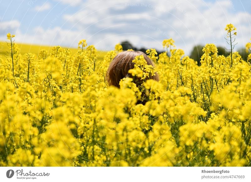 Nichts für Allergiker: Eine Frau im sehr hohen Rapsfeld raps rapsfeld hoch blüten rapsblüten blühend gelb sommer brassica napus kreuzblütengewächs allergie