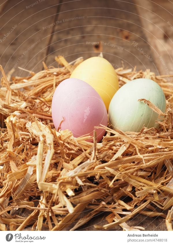 Mit natürlichen Farbstoffen selbst gefärbte Bio-Eier im Strohnest Osterei österliche Dekoration bunt Symbol grün gelb rosa Pastell Farbe Menschengruppe Sammlung