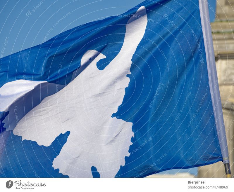 Zur Kundgebung Sound of peace am 20. Februar 2022 wird am Brandenburger  Tor in Berlin eine Fahne mit Friedenstaube geschwenkt - ein lizenzfreies  Stock Foto von Photocase