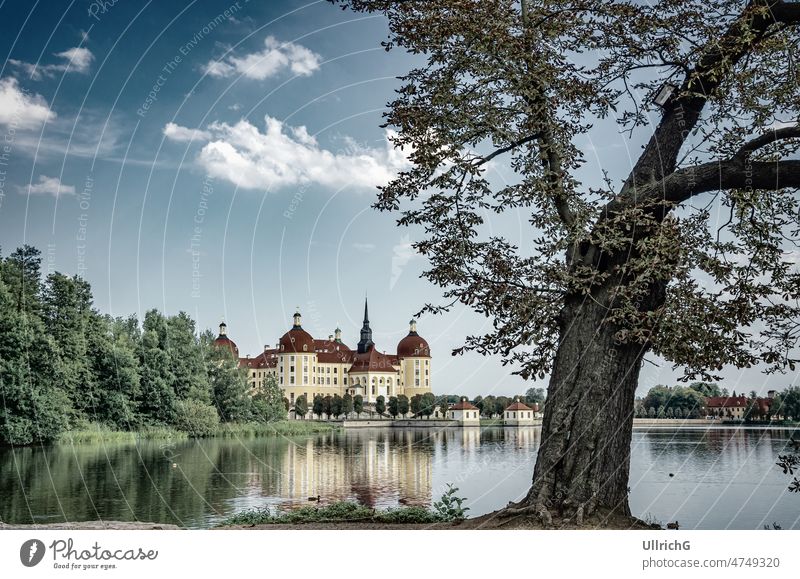 Schloss Moritzburg bei Dresden, Sachsen, Deutschland Barockschloss Jagdschloss Ostdeutschland Wahrzeichen Teich Enten Renaissance Palast romantisch idyllisch