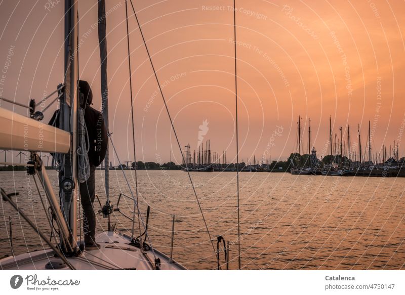 Mann steht an Deck der Segelyacht als diese am Abend zur Anlegestelle fährt Yachthafen Marina Natur frei Bewegung Abendlicht Dämmerung Schönes Wetter Himmel Tag