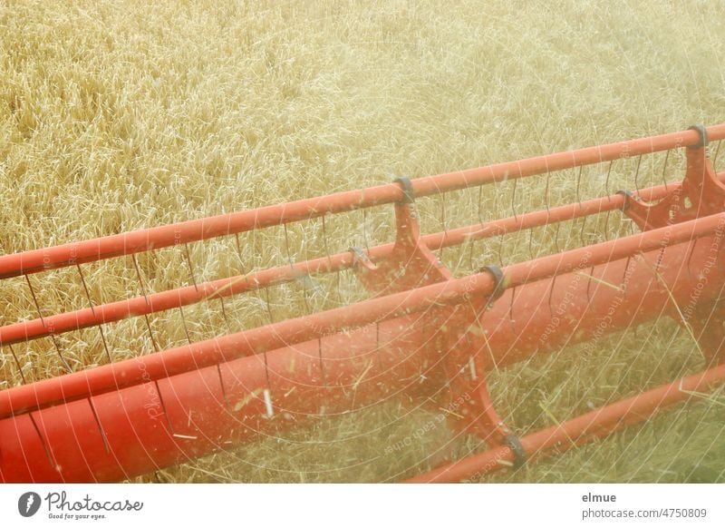 rotierende Haspel des Schneidwerkes eines Mähdreschers bei der Mahd von Gerste / Getreidepreise mähen Feld Ukrainekrise Getreideimport Ackerbau Landwirtschaft