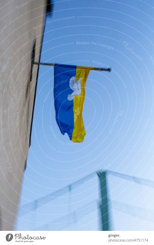 Please Peace (ukrainische Flagge mit Friedenstaube am Kirchenfenster - Lensbaby) Ukraine Brücke Flaggenmast blau gelb Symbol Symbole & Metaphern Friedenswunsch