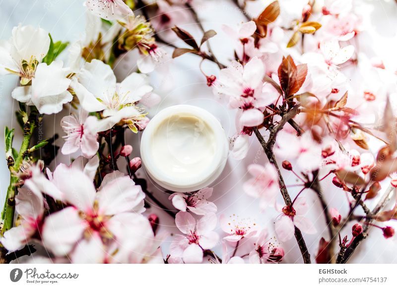 Draufsicht auf eine Kosmetikcreme mit rosa Kirschblüten in einem blauen Glastiegel. Hygienische Hautpflege Lotion Produkt. hygienisch Sahne Blumen Mandeln