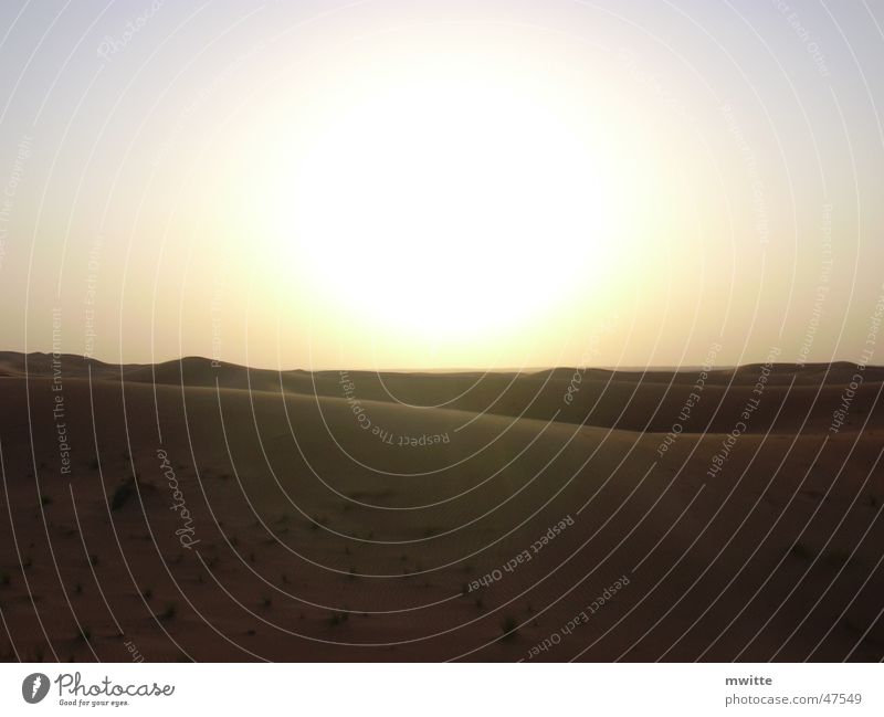 Sonnenuntergang in der Wüste Dubai Vereinigte Arabische Emirate Arabien Sand arabische emirate