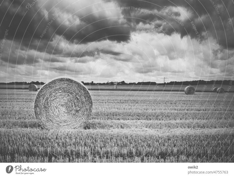 Stoppelfeld Strohballen abgeerntet Landwirtschaft Feld Ernte aufgerollt Rolle Himmel Wolken Landschaft Getreide Außenaufnahme Herbst Umwelt Menschenleer rund