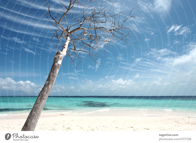 AS SIMPLE AS NICE CAN BE Angaga Insel Strand Sand Meer Ferien & Urlaub & Reisen Reisefotografie Baum Traumstrand Asien Natur unberührt Farbfoto Idylle ruhig