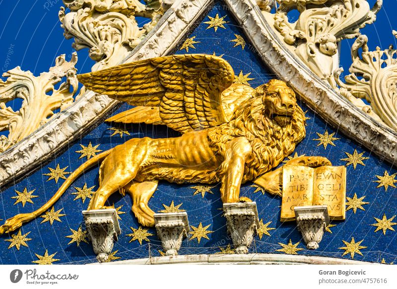 Goldener Löwe auf der Spitze des Markusdoms (San Marco) in Venedig, Italien Kirche gold Architektur Italienisch venezianisch golden Kathedrale Statue