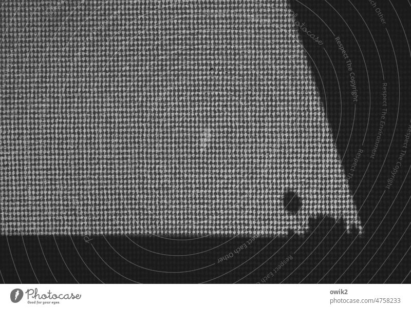 Versteckspiel Teppich Schatten unten Innenaufnahme Schattenspiel Nahaufnahme Detailaufnahme abstrakt Muster Sonnenlicht Strukturen & Formen Schwarzweißfoto